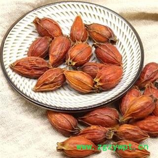 【新货】秦岭野生栀子 手工分拣 日晒无硫1000g图2