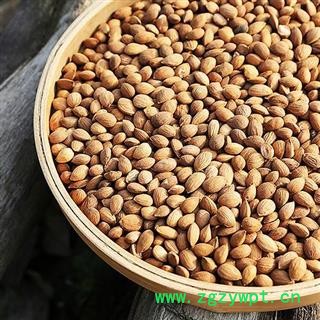 桃仁500g 秦岭优质桃仁 去皮桃仁 另有杏仁巴旦木核桃仁图4