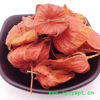 秦岭优质野生灯笼果锦灯笼山姑娘 挂金灯 灯笼草 红姑娘 250g图2