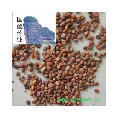 莱菔子 炒莱菔子 颜色好 全干 无虫蛀 国峰药业 重在品质 产地 山东省