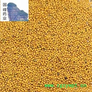 芥子 黄芥子 新货 净选货 地道药材 颜色好 无虫蛀 国峰药业 重在品质 产地 四川省图3