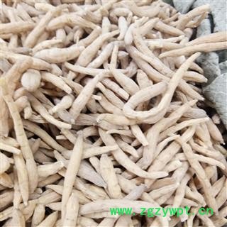 太子参 太子参大选200 产地 贵州省图2