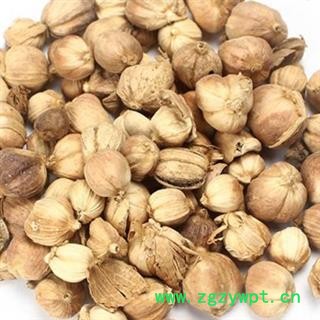 豆蔻 白豆蔻 低价销售 统货 干度好 颜色好 国峰药业 重在品质 产地 广西壮族自治区图2