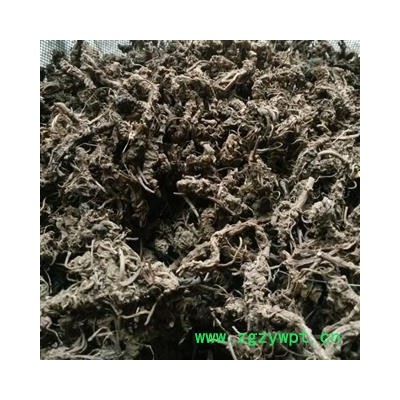 蜘蛛香 脱毛蜘蛛香 产地 陕西省