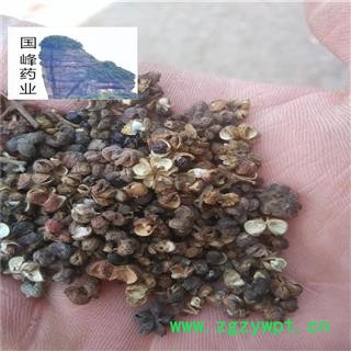 吴茱萸 吴萸 吴茱萸大花统货 新货 产地 江西省图2