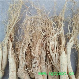 人参 生晒参 生晒参45支 产地 吉林省图2