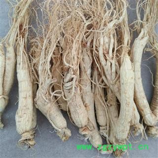 人参 生晒参 生晒参45支 产地 吉林省图3
