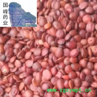 酸枣仁 国产酸枣仁 正品 好选无壳 颗粒饱满 国峰药业 重在品质 产地 山东省图3