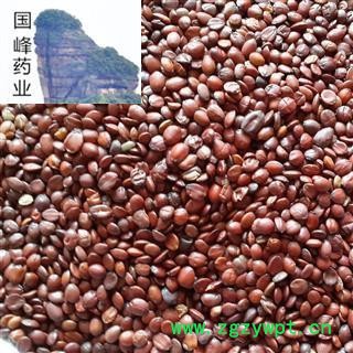 酸枣仁 国产酸枣仁 正品 好选无壳 颗粒饱满 国峰药业 重在品质 产地 山东省图2