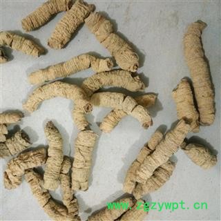 巴戟天 巴戟肉一级个0.8 产地 广东省图3