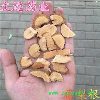 藤梨根 藤梨根 阳桃、木子、猕猴桃根  产地 河南省图2