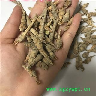 三七 三七  无数头 须子 叶子 杆子 新货青绿 零利润 限量销售 产地 云南省文山壮族苗族自治州文山县图3