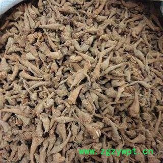 三七 三七  无数头 须子 叶子 杆子 新货青绿 零利润 限量销售 产地 云南省文山壮族苗族自治州文山县图2