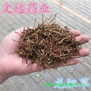 胆草 龙胆草 产地 云南省楚雄彝族自治州楚雄市图2