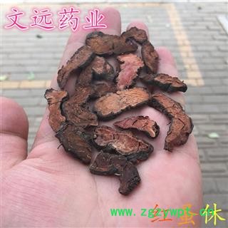 拳参 草河车 草血竭 红蚤咻 蚤休 华重楼、七叶莲、铁灯台 产地 甘肃省图3