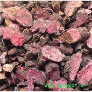 拳参 草河车 草血竭 红蚤咻 蚤休 华重楼、七叶莲、铁灯台 产地 甘肃省图2