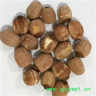 莲子 山东实心红莲子 质量好 放心购买 产地 山东省图2