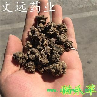 猫爪草 精选 选装 猫爪草 猫抓草  小毛茛 产地 河南省南阳市市辖区图4