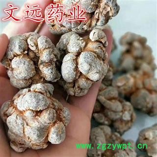 三七 精选水洗三七准20头 产地 云南省文山壮族苗族自治州文山县图3