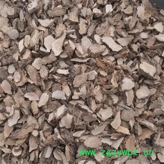 水菖蒲 选片 菖蒲 产地 河南省图2