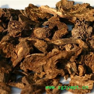 羌活 蚕羌活 选片 产地 四川省图3