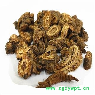 羌活 蚕羌活 选片 产地 四川省图2