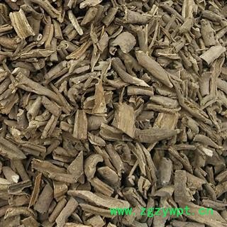 南五加 五加皮  统货 产地 甘肃省  娟子中药图2