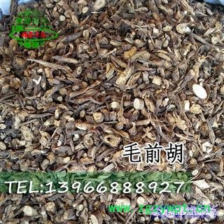 娟子中药 前胡 毛前胡 选 产地 甘肃省图2