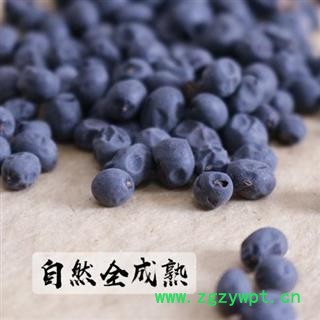 【全熟女贞子】【腊月正月采摘】 秦岭野生 干净无硫 手工精选 500g图3