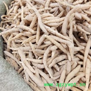 太子参 太子参精选大个  达克 产地 贵州省图2