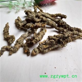 黄连 石柱黄连单枝精选一级0.7 产地 重庆市图2