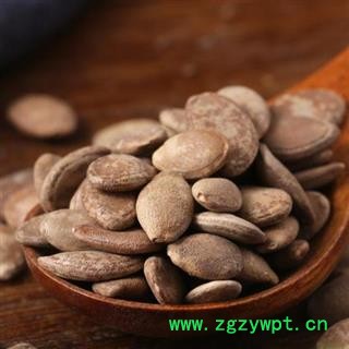 秦岭瓜蒌子 手工剥取 分拣日晒无硫500g图2