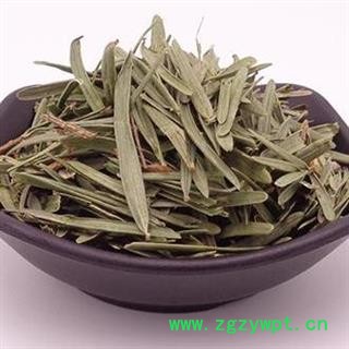 秦岭野生三尖杉桃松 狗尾松 三尖松 日晒干净500g图2