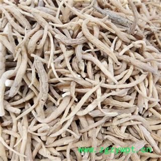 太子参 太子参大统 产地 贵州省图2