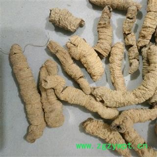 巴戟天 巴戟肉一级个0.8 产地 广东省图2