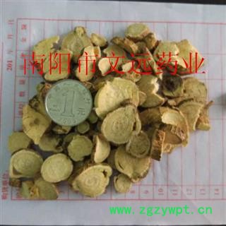 苦参 大统装苦参  产地 河南省濮阳市市辖区图4