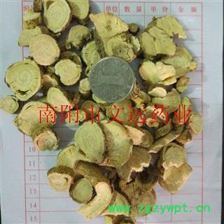 苦参 大统装苦参  产地 河南省濮阳市市辖区图3