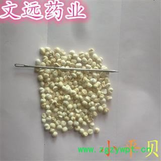 平贝母 无硫 小平贝 小尖贝 小贝母 0.5cm 产地 吉林省松原市市辖区图3