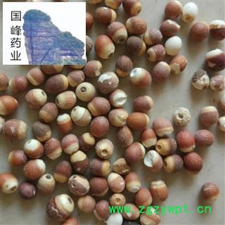 芡实 选芡实个 新货 无硫磺 无虫蛀 国峰药业 重在品质 产地 广东省图2