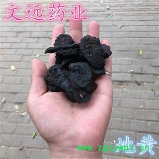 生地 大统  地黄  生地黄 产地 河南省图2