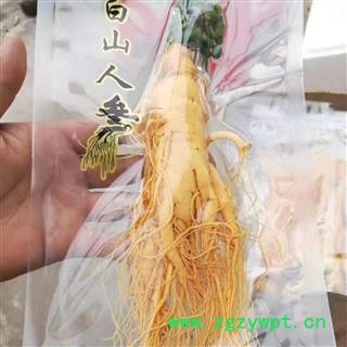 人参 保鲜参  人参 4两人参 产地 吉林省图3