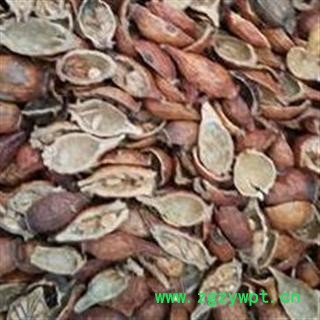 金樱子 金樱子肉后期选货去核率98%以上 颜色好 无硫 品质好 价格低 包药检 产地 江西省图2