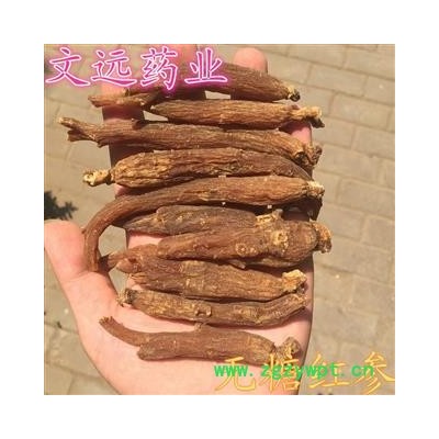 红参 无糖红参个 10克左右每支 产地 吉林省