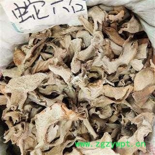 蛇六谷 魔芋  产地 云南省图3