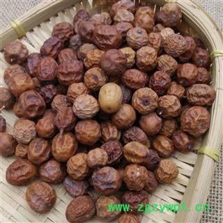 川楝子 秦岭野生苦楝子 山民自采 手工分拣 日晒无硫1000g图3