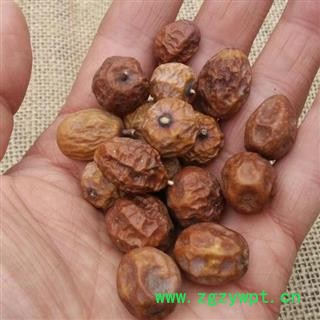 川楝子 秦岭野生苦楝子 山民自采 手工分拣 日晒无硫1000g图4