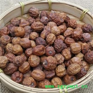 川楝子 秦岭野生苦楝子 山民自采 手工分拣 日晒无硫1000g图2