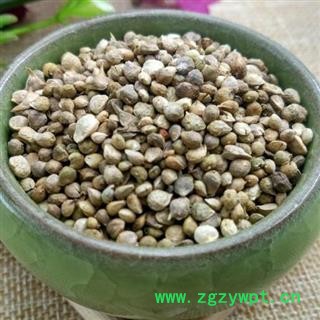 【买10送1】秦岭农家自种菠菜子 菠菜籽 手工捋子 日晒500g图2