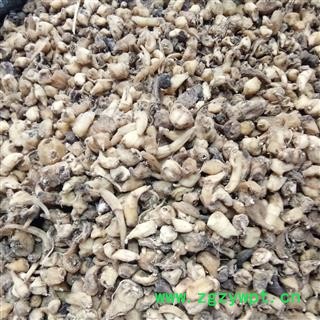 山慈菇 毛慈菇 正品包含量山慈菇  统货 过沫筛 产地 贵州省图2