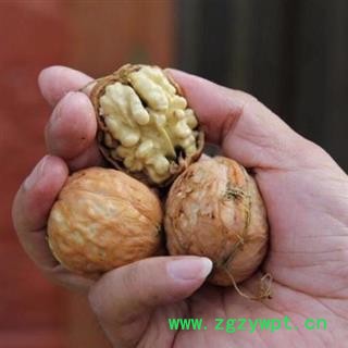 【老品种非矮化】秦岭老树山核桃无硫日晒为秦岭著名地产土特产图2